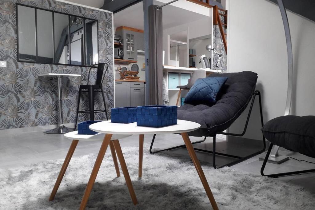 Loft Haut De Gamme Centre Montargis, Place De Parking, Local A Velos, Linge De Lits Et Serviettes, Coin Riviere Amenage, Hamac, Epicerie, Velos En Option, Tout Confort Jusqu'A 4 Voyageurs מראה חיצוני תמונה