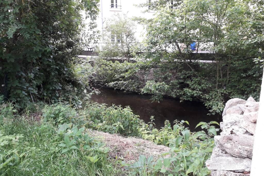 Loft Haut De Gamme Centre Montargis, Place De Parking, Local A Velos, Linge De Lits Et Serviettes, Coin Riviere Amenage, Hamac, Epicerie, Velos En Option, Tout Confort Jusqu'A 4 Voyageurs מראה חיצוני תמונה