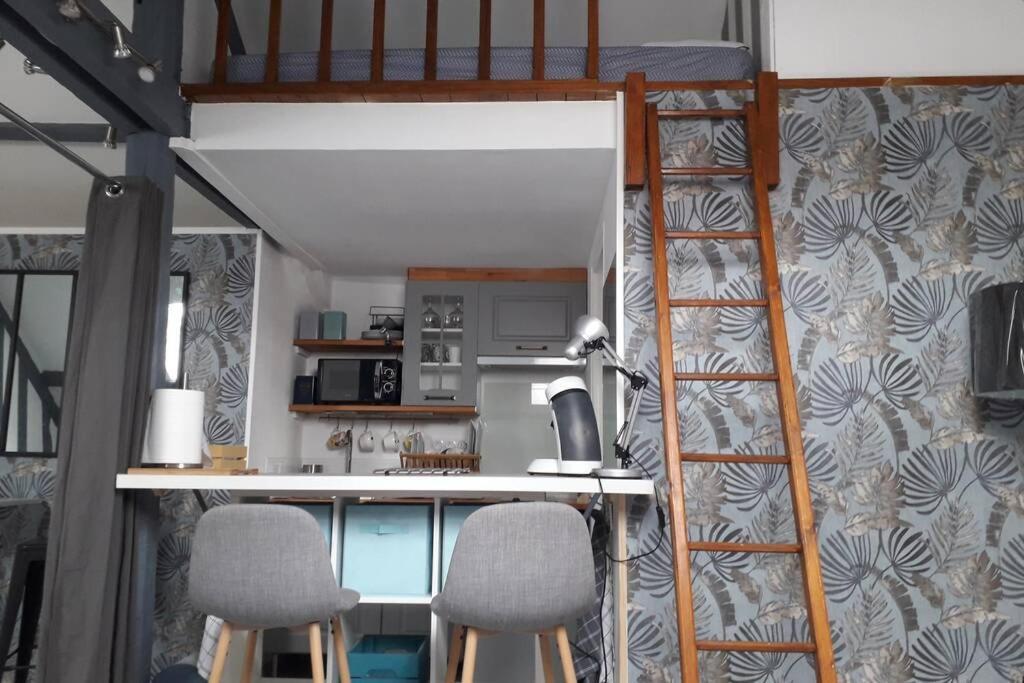 Loft Haut De Gamme Centre Montargis, Place De Parking, Local A Velos, Linge De Lits Et Serviettes, Coin Riviere Amenage, Hamac, Epicerie, Velos En Option, Tout Confort Jusqu'A 4 Voyageurs מראה חיצוני תמונה