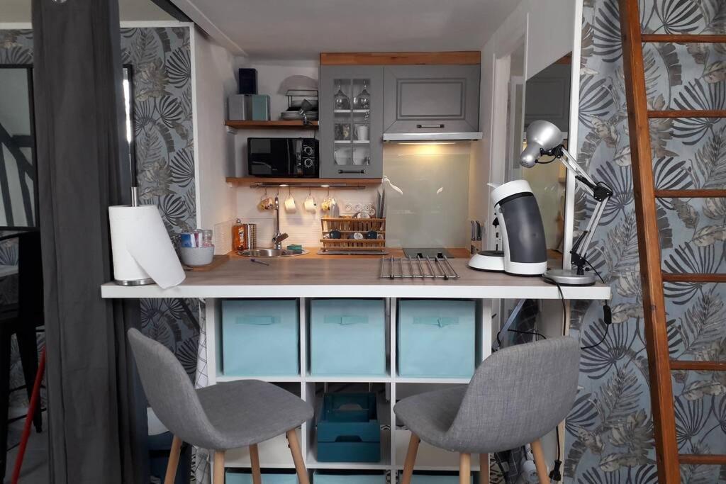 Loft Haut De Gamme Centre Montargis, Place De Parking, Local A Velos, Linge De Lits Et Serviettes, Coin Riviere Amenage, Hamac, Epicerie, Velos En Option, Tout Confort Jusqu'A 4 Voyageurs מראה חיצוני תמונה