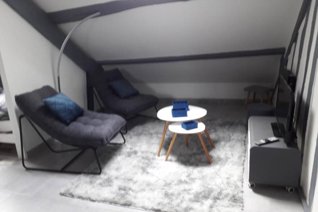 Loft Haut De Gamme Centre Montargis, Place De Parking, Local A Velos, Linge De Lits Et Serviettes, Coin Riviere Amenage, Hamac, Epicerie, Velos En Option, Tout Confort Jusqu'A 4 Voyageurs מראה חיצוני תמונה