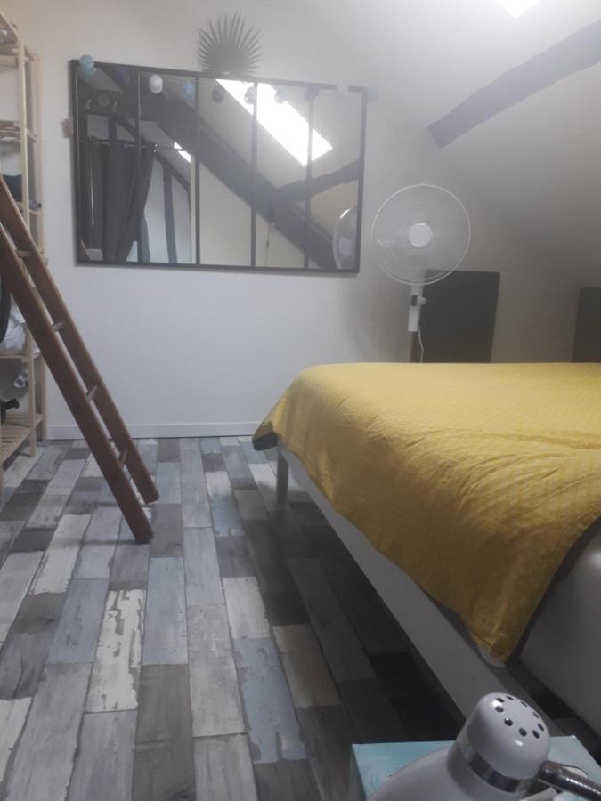 Loft Haut De Gamme Centre Montargis, Place De Parking, Local A Velos, Linge De Lits Et Serviettes, Coin Riviere Amenage, Hamac, Epicerie, Velos En Option, Tout Confort Jusqu'A 4 Voyageurs מראה חיצוני תמונה