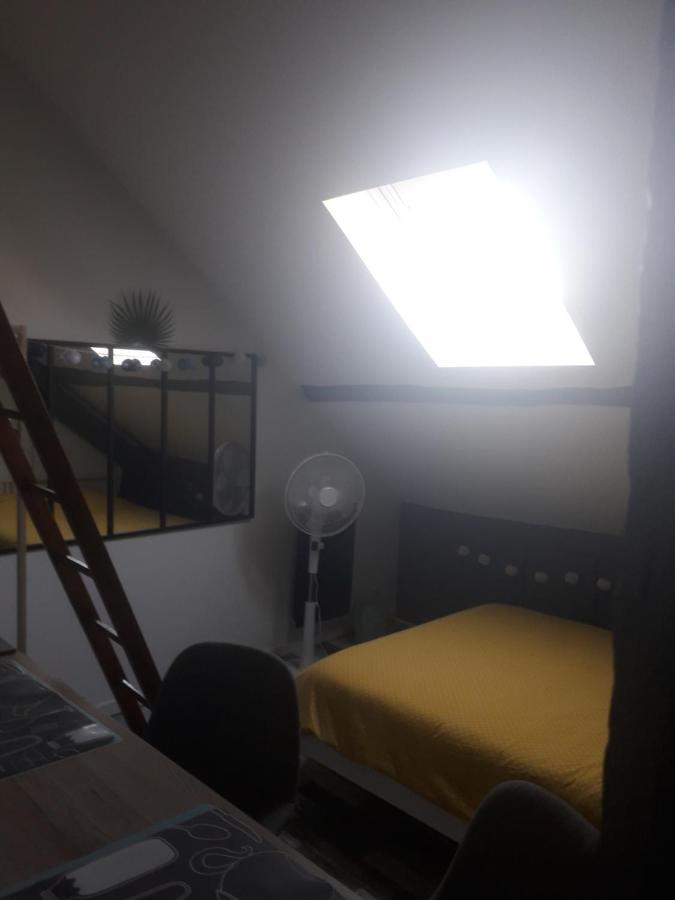 Loft Haut De Gamme Centre Montargis, Place De Parking, Local A Velos, Linge De Lits Et Serviettes, Coin Riviere Amenage, Hamac, Epicerie, Velos En Option, Tout Confort Jusqu'A 4 Voyageurs מראה חיצוני תמונה