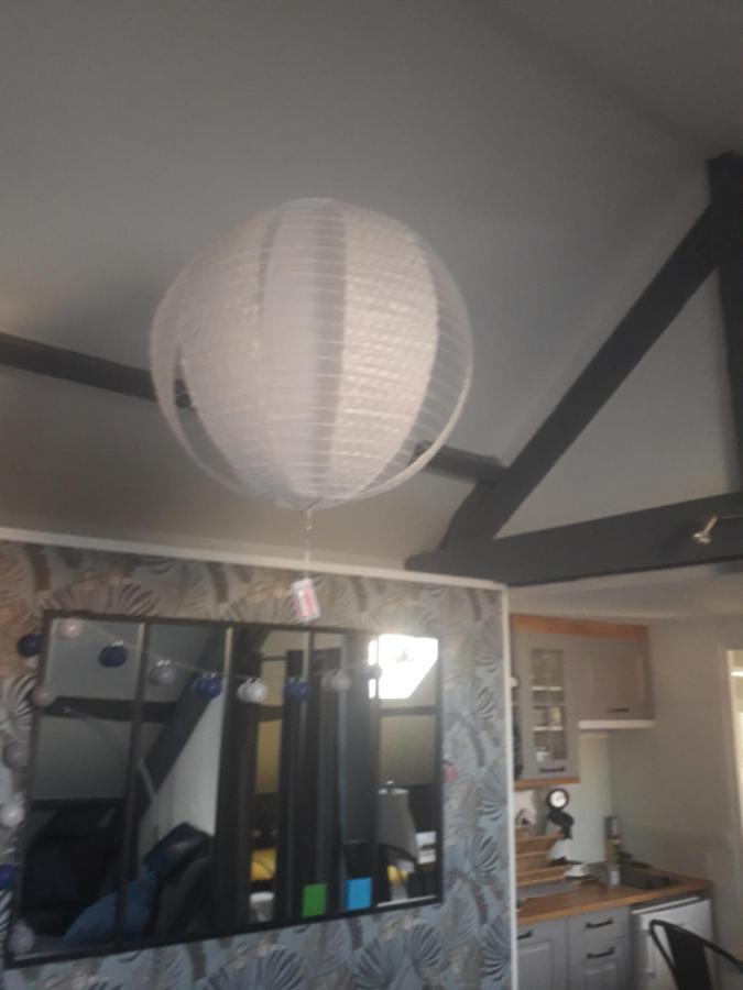 Loft Haut De Gamme Centre Montargis, Place De Parking, Local A Velos, Linge De Lits Et Serviettes, Coin Riviere Amenage, Hamac, Epicerie, Velos En Option, Tout Confort Jusqu'A 4 Voyageurs מראה חיצוני תמונה