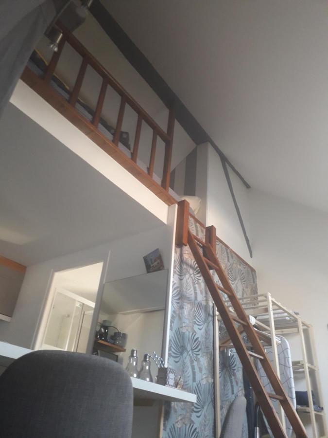Loft Haut De Gamme Centre Montargis, Place De Parking, Local A Velos, Linge De Lits Et Serviettes, Coin Riviere Amenage, Hamac, Epicerie, Velos En Option, Tout Confort Jusqu'A 4 Voyageurs מראה חיצוני תמונה