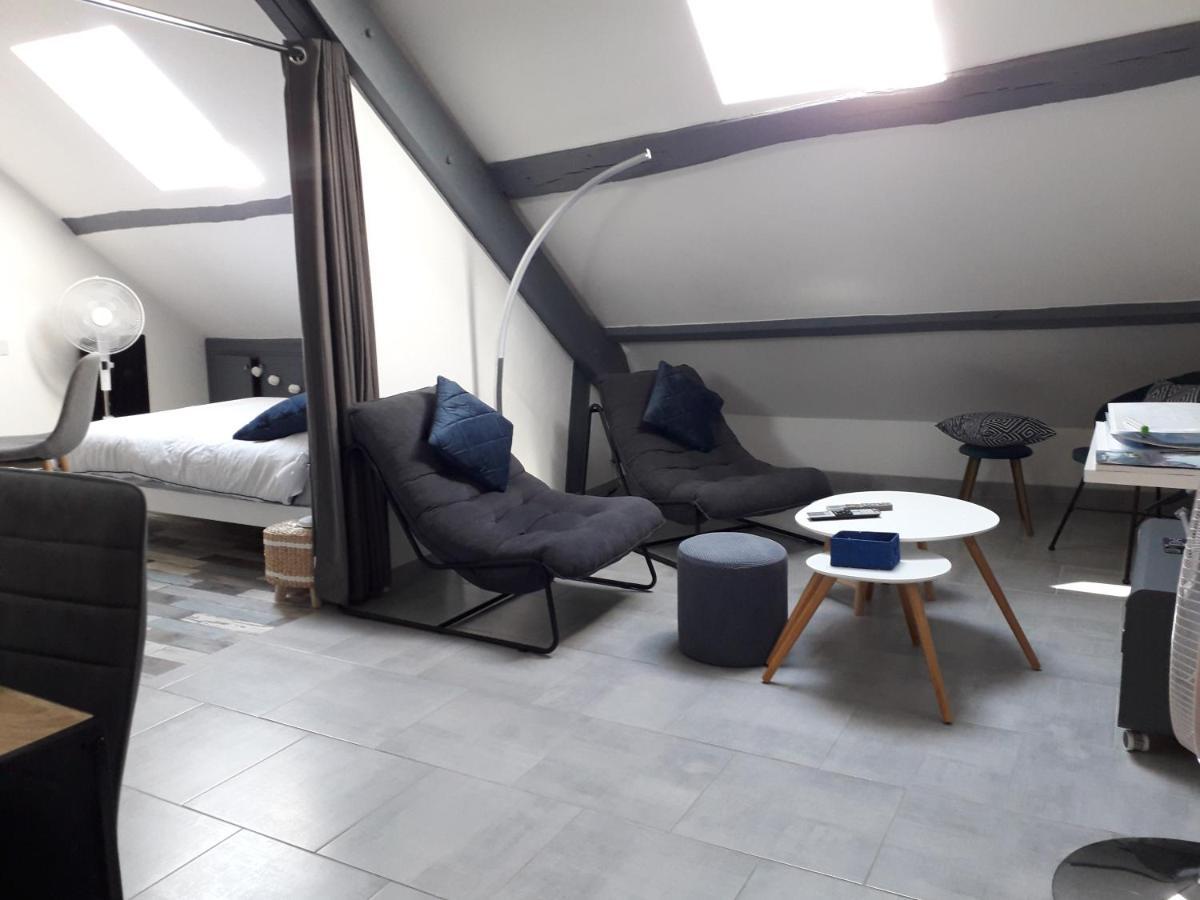 Loft Haut De Gamme Centre Montargis, Place De Parking, Local A Velos, Linge De Lits Et Serviettes, Coin Riviere Amenage, Hamac, Epicerie, Velos En Option, Tout Confort Jusqu'A 4 Voyageurs מראה חיצוני תמונה