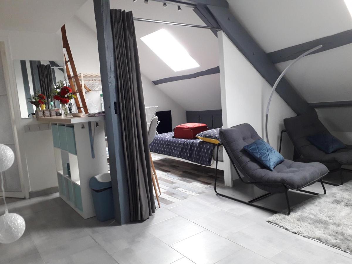 Loft Haut De Gamme Centre Montargis, Place De Parking, Local A Velos, Linge De Lits Et Serviettes, Coin Riviere Amenage, Hamac, Epicerie, Velos En Option, Tout Confort Jusqu'A 4 Voyageurs מראה חיצוני תמונה