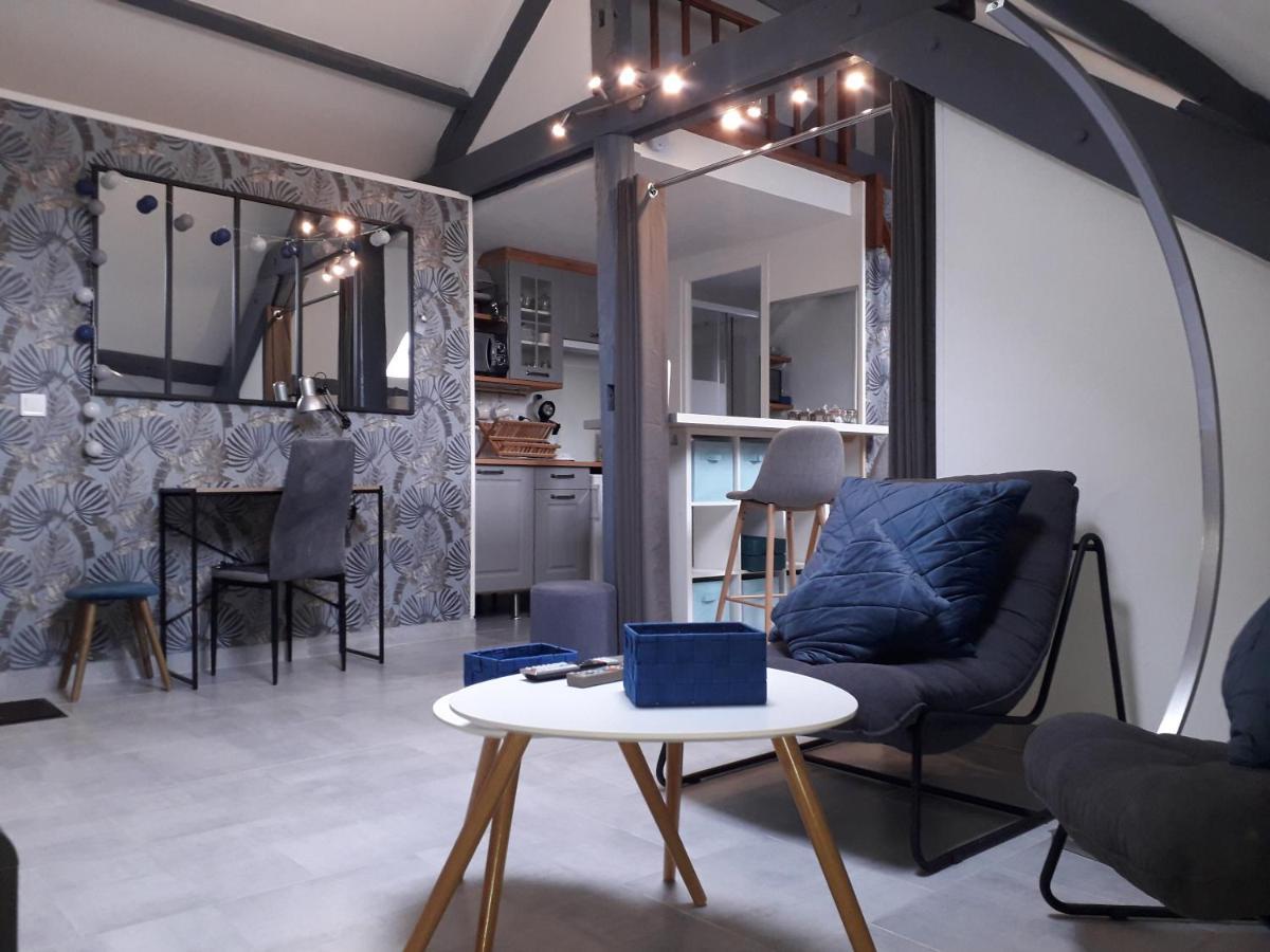 Loft Haut De Gamme Centre Montargis, Place De Parking, Local A Velos, Linge De Lits Et Serviettes, Coin Riviere Amenage, Hamac, Epicerie, Velos En Option, Tout Confort Jusqu'A 4 Voyageurs מראה חיצוני תמונה